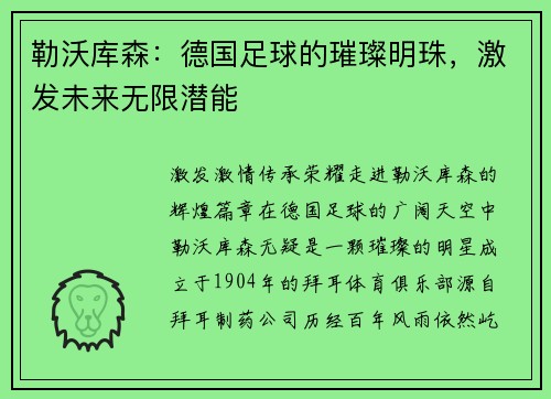 勒沃库森：德国足球的璀璨明珠，激发未来无限潜能