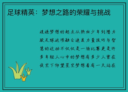 足球精英：梦想之路的荣耀与挑战