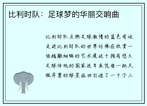 比利时队：足球梦的华丽交响曲